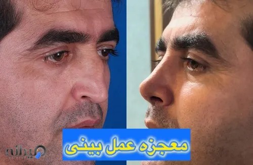 دکتر شیرین کل محمدی