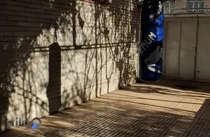 بوکس بانوان کرمان