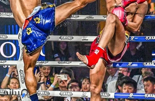 باشگاه رزمی گلادیاتور