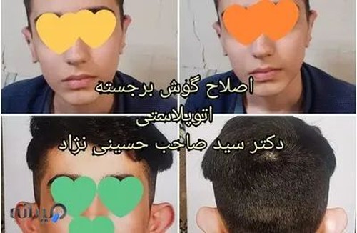 دکتر سيد صاحب حسينی نژاد