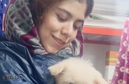 مهندس صالحه گمشادزهی