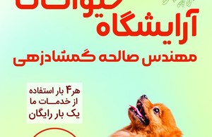 مهندس صالحه گمشادزهی