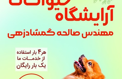 مهندس صالحه گمشادزهی