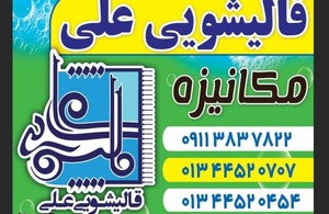 قالیشویی علی