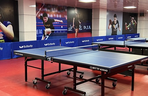 پینگ پنگ پورمد