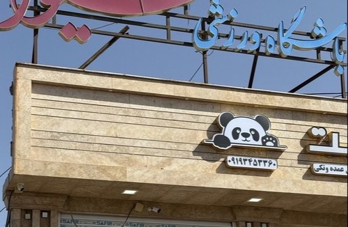 باشگاه ورزشی هیوا