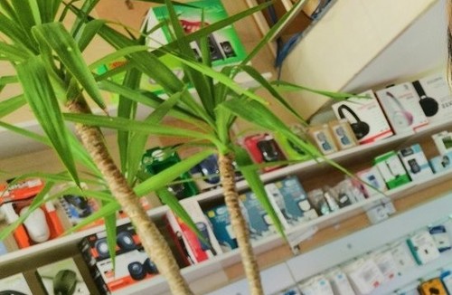 کافی نت بهروز قم