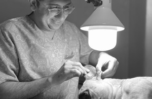 کلینیک دامپزشکی آرامیس