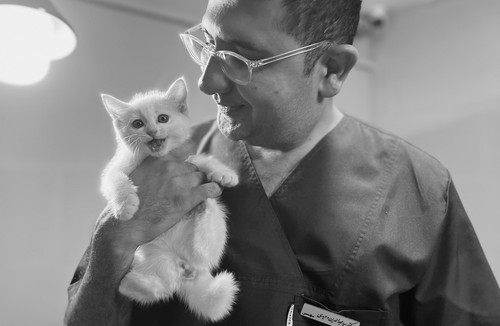 کلینیک دامپزشکی آرامیس