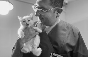 کلینیک دامپزشکی آرامیس