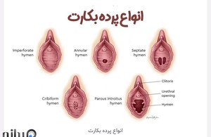 زنان و مامایی