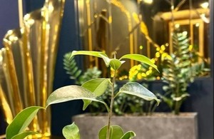 کلینیک دکتر آرزو امین‌ پور