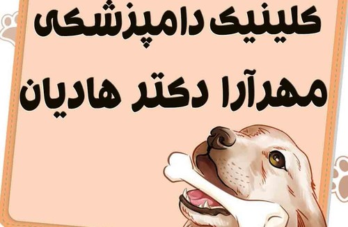 کلینیک دامپزشکی مهرآرا