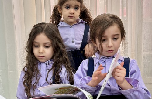 مجموعه شادلی