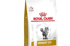 پت شاپ سزار 