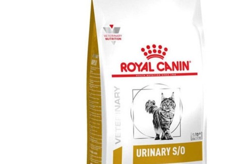 پت شاپ سزار 