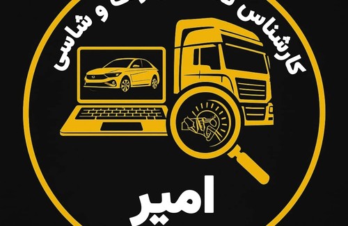 کارشناس تخصصی خودروهای سنگین امیر