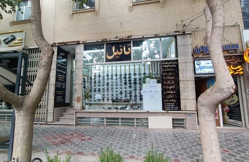 کفش تانیل