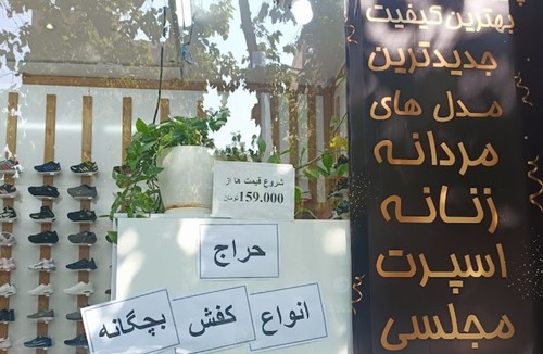 کفش تانیل