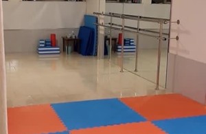 آموزش باله ژیمناستیک