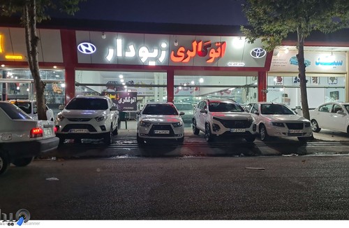 نمایشگاه و اتوگالری زیودار 