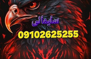 تعمیرگاه اسکانیاسلیمانی