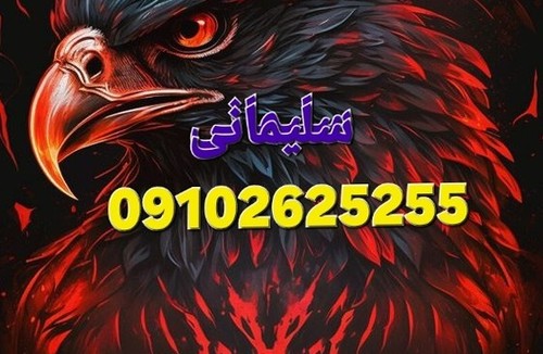 تعمیرگاه اسکانیاسلیمانی