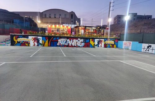 آکادمی تخصصی اسکیت رسا و رهام 