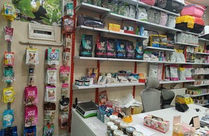 آرایشگاه حیوانات و پت شاپ کیتی