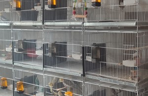 پرنده سرای هدایت 