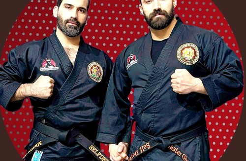 دفاع شخصی حرفه ای