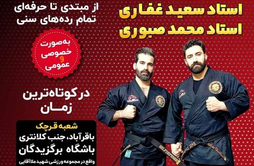 دفاع شخصی حرفه ای