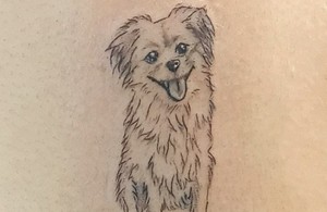 تتو بدن آمل