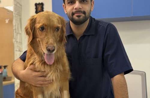 کلینیک دامپزشکی رنیسا