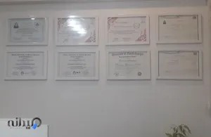 فیزیوتراپی زبردست