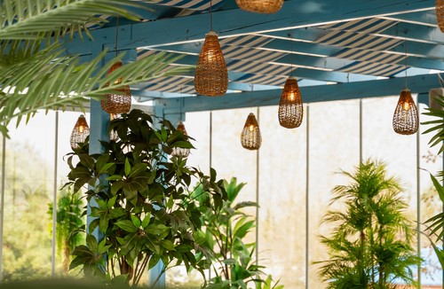 رستوران رشت