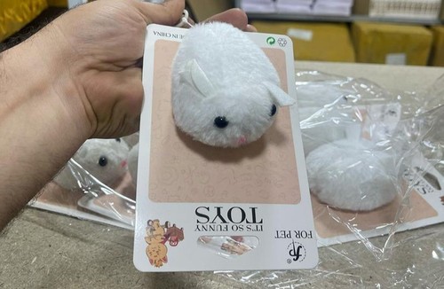 پت پخش بانه