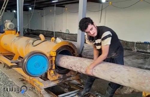 قالیشویی طلوع