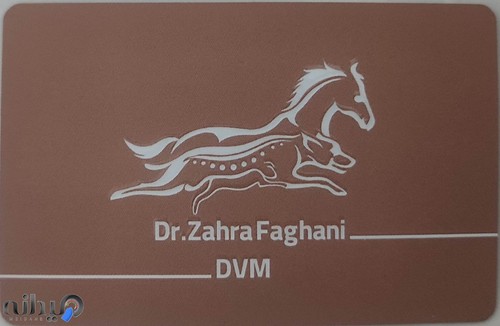 فیزیوتراپی حیوانات دکتر فغانی