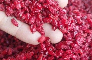 زرشک و زعفران