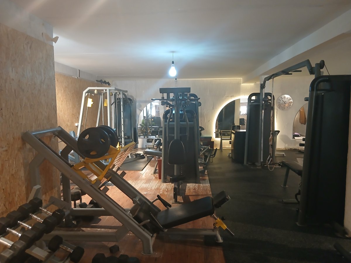 Image 5