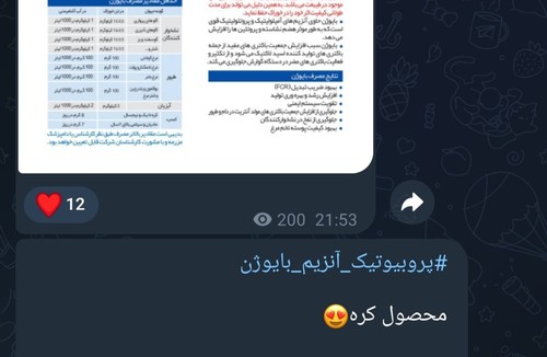کلینیک پرندگان