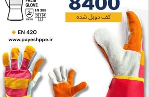 ایمن پایش