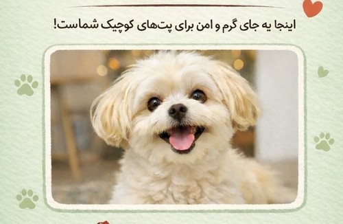 راد پانسیون