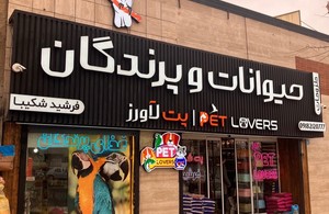 پت شاپ پت لاورز