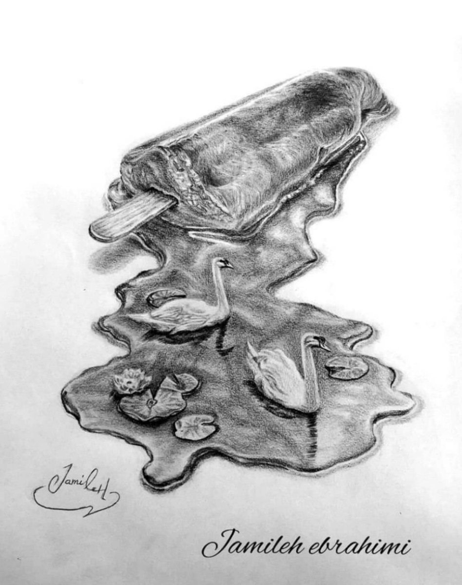 Image 30