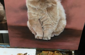 آکادمی نقاشی سپید