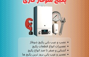 فنی حرفه ای هدایت