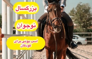 باشگاه سوارکاری رز