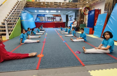 باشگاه ژیمناستیک آریال